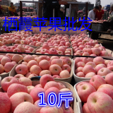 栖霞红富士苹果黄金富士苹果随机发新鲜10斤3级水果红富士