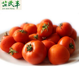 【怀化同城配送】西红柿无公害蔬菜番茄500g绿色蔬菜 有机新鲜