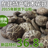 东北特产 剪根椴木花菇 香菇干货 野生花菇 肉厚鲜香 250g