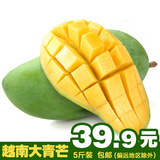 越南进口大青芒果5斤  约3-5个 新鲜水果青皮芒果 新鲜芒果