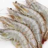 厄瓜多尔白虾4斤南美进口海鲜对虾新鲜冻虾大虾50-60支/kg