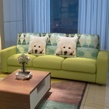 北欧小户型客厅布艺沙发日式现代简约实木家居卧室组合双人位家具