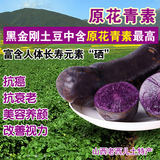 2015 新鲜黑金刚土豆黑土豆紫土豆洋芋 产地直供 绿色有机蔬菜