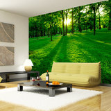 无缝3D立体大型壁画沙发 电视背景墙纸 田园绿色森林客厅艺术壁纸
