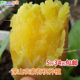 广东深山农家有机种植番薯山芋地瓜阳江薯超香甜粉新鲜5斤装包邮