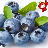 智利进口新鲜水果蓝莓鲜果 美国有机蓝莓 6盒全国包邮顺丰