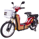 广州 载重电动车男摩托车比雅迪凯骑便宜载货车大动力助力踏板车