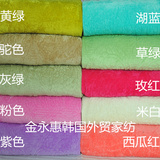 韩国最新夹棉绒毯绗缝超密素色短毛绒床垫床单式毛毯斜纹纯棉两用