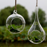 悬挂玻璃球 空心植物吊瓶水滴花瓶玻璃工艺品 创意家居房间挂饰品