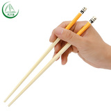 风沙渡筷子 日式家用筷子5双套装环保抗菌防霉烤花筷熊猫竹筷包邮