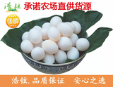 舌尖上的中国  新鲜鸽子蛋 土鸽蛋五谷原料喂养30个包邮