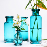 吉乐岛 简约透明玻璃小花瓶 美式插花瓶植物瓶子花器装饰摆件客厅