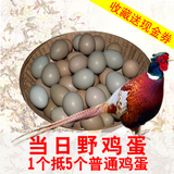 野鸡蛋30枚包邮七彩山鸡蛋杂粮散养新鲜土鸡蛋农家草鸡非种蛋