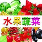 水果蔬菜种子四季播春季种草莓秋葵韭菜荠菜黄瓜番茄芹菜种子包邮