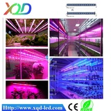 LED植物生长灯12W灯条|大棚蔬菜花卉植物育苗灯|温室园艺补光灯条