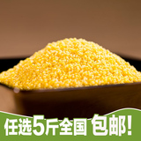 优谷坊 东北农家农产品黄小米 粟米 月子米 熬粥养胃500g 新大米