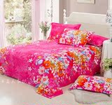冬季加厚法莱绒毛毯床单单件被套珊瑚绒法兰绒毯休闲毯红色大礼花