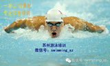 苏州游泳培训 苏州本地专业游泳教练执教 包门票 包学会 小班