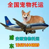 上海浦东 活体宠物狗狗猫咪兔子航空运托运汽运输代办  5kg400