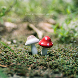 |拾年|苔藓多肉微景观装饰摆件/木质迷你小蘑菇盆景植物饰品ZAKKA