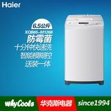 Haier/海尔 XQB65-M1268 关爱 6.5kg全自动波轮洗衣机 送装同