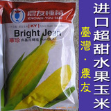 超甜水果玉米种子 台湾农友代理 原装进口 可以生吃非转基因
