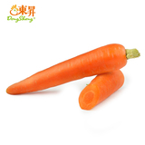 新鲜胡萝卜 青菜萝卜东升品质保证 胡芦菔 500g 农场直供蔬菜配送