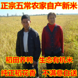 2015新米5kg东北五常稻花香米2号正宗黑龙江非转基因农家有机大米