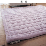日式加厚水洗地毯超顺滑毛皮客厅茶几卧室床边垫地垫门垫特价包邮