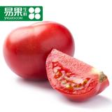 【易果生鲜】精选西红柿600g 番茄 新鲜蔬菜
