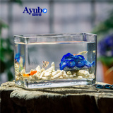 玻璃鱼缸长方形创意水族箱迷你小型办公室桌面观赏造景透明鱼缸