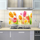 黄色粉色郁金香花朵墙贴植物花卉绿色风景灶台厨房瓷砖防油贴纸