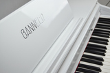 班妮尔3001-10000元专业级88键重锤l练习B6300全法国音源数码钢琴