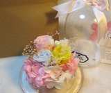 Aman永生花礼盒玻璃罩进口玫瑰七夕情人节日生日结婚礼物干花盒