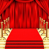 室外开业楼梯地垫批发婚庆红地毯展会结婚用一次性庆典迎宾地垫