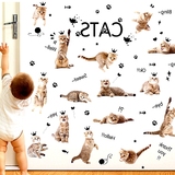 猫咪宠物店装饰贴画创意3D立体仿真动物墙贴纸客厅电视背景墙壁纸