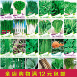 春季夏季秋季特价24品种 阳台盆栽 促销好吃水果菠菜四季蔬菜种子