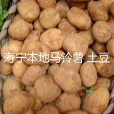 寿宁富硒马铃薯 小土豆  老品种 农家自种 高淀粉500克 新货上市