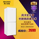 Haier/海尔 BCD-256WDGH 白色两门双门风冷无霜一级能效电冰箱