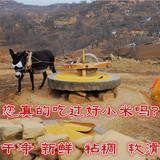 500g刘老头 2015新米小黄米小米粥黄小米农家自产有机杂粮粗粮