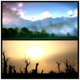延时摄影 中国 新疆 雪山天山 胡杨林 湖泊 沙漠 雪山 视频素材