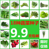 30种蔬菜种子套餐 易种阳台种菜 庭院蔬果菜籽春夏秋冬季四季包邮