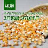 爆米花专用玉米 爆裂小玉米粒 炸爆米花机原料 新货玉米 500g