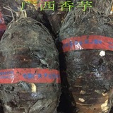 正宗广西荔浦芋头 农家有机蔬菜芋头 新鲜槟榔香芋1000克