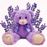 泰迪熊薰衣草小熊玩具公仔送女友生日结婚礼物版 毛绒紫色毛绒布