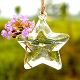 Manley创意幸运五角星透明悬挂式玻璃水培植物花瓶 酒吧家居挂饰