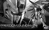 万代 PB限定 RG 1/144 Freedom Gundam 自由高达 未启动色 模式