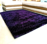 毯特价包邮韩国丝加亮丝地毯客厅茶几卧室通用南韩丝地毯可定做地