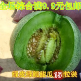 水果蔬菜种子翠宝绿皮绿壤翡翠甜瓜种子 绿皮香瓜种子 含糖超18%
