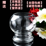 绿萝水培透明玻璃花盆 创意灯笼台面个性时尚装饰花瓶摆件包邮